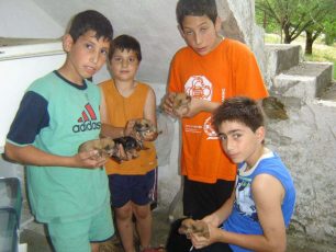 Αριδαία: Τα πιτσιρίκια ανέλαβαν την ευθύνη και φροντίζουν τα κουτάβια